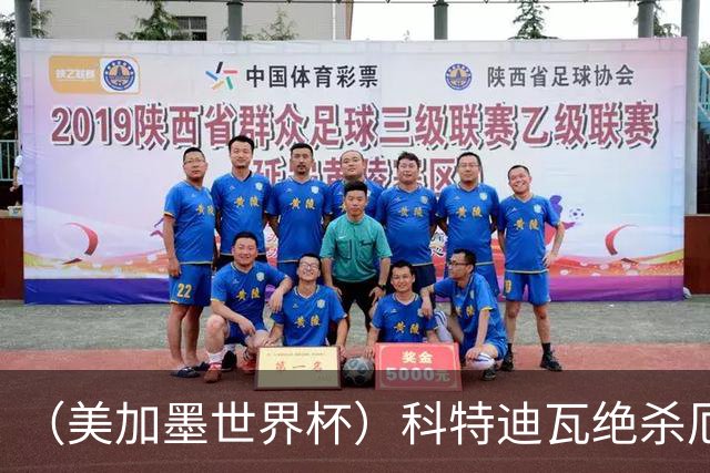 （美加墨世界杯）科特迪瓦绝杀厄瓜多尔 瑞典5:1大胜突尼斯